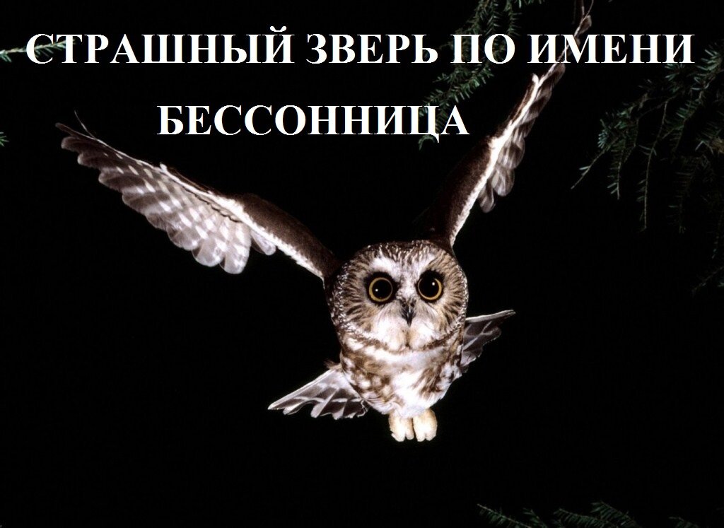 Фото из открытого источника