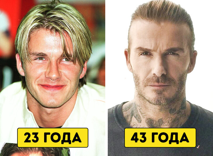 Источник Яндекс Картинки