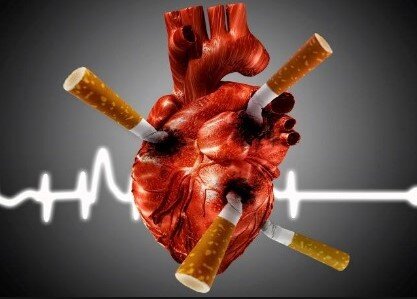 Спутником повседневной жизни человека, значительно увеличивающим риск заболевания ишемической болезни сердца (ИБС), а также осложняющим ее течение, является курение.