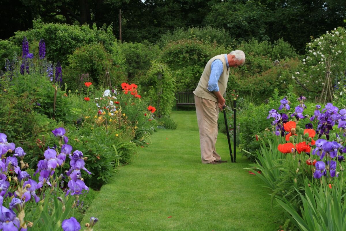 Деревенский сад никто не охранял жил он вольно. Сирень в ботаническом саду цицина. Сад никто не охранял. Охраняет сон. Текст деревенский сад никто не охранял жил.