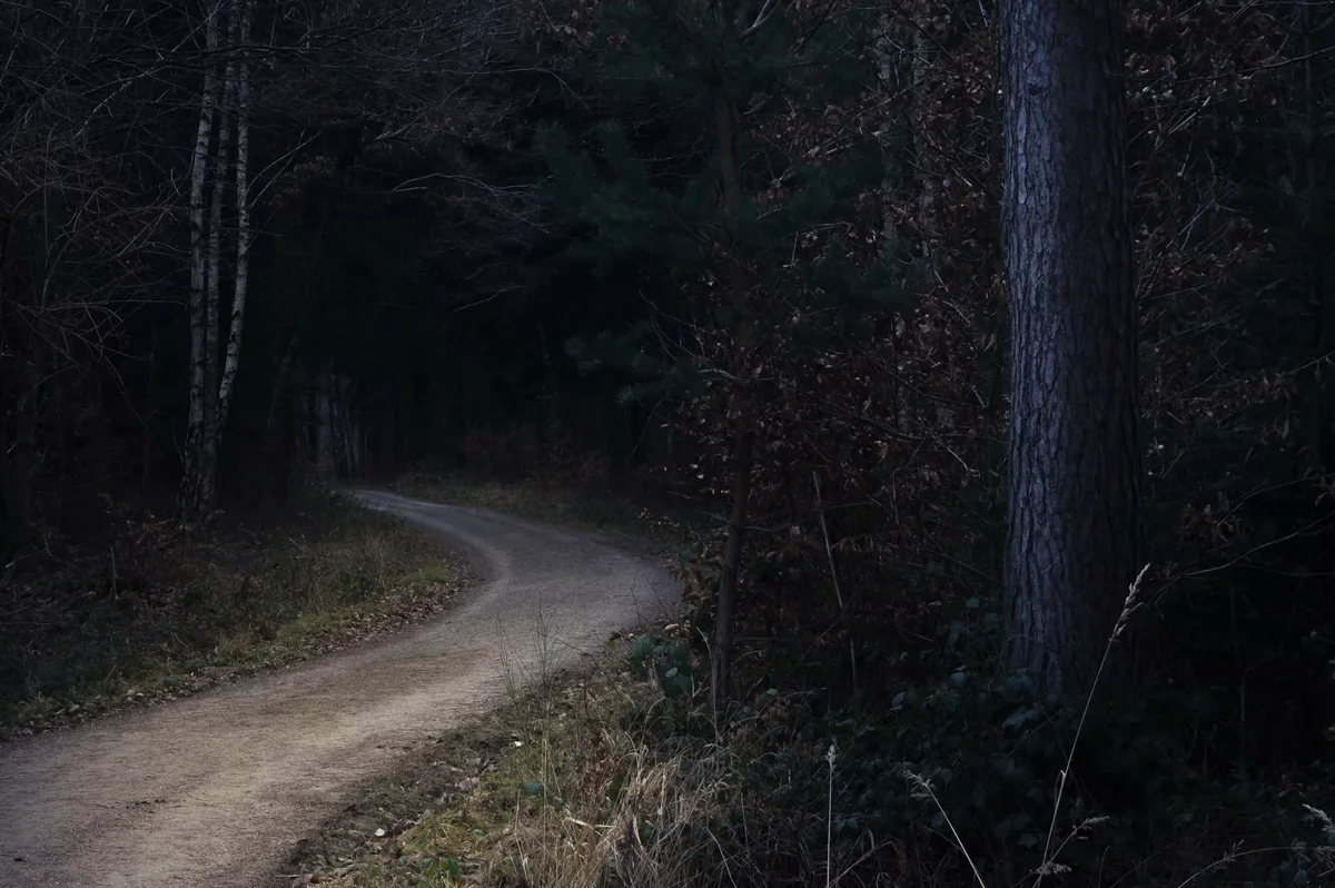 Примерно так выглядела та тропа