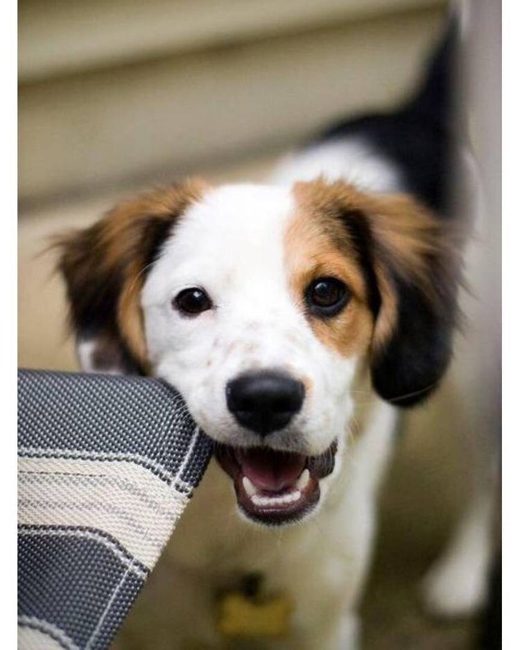 Источник Pinterest