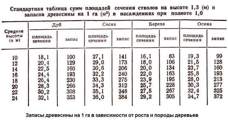 Зачем ходят в лес? » Ответы к 1