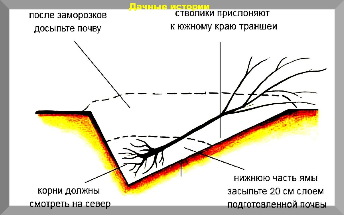 https://vk.com/photo-159774511_457244683