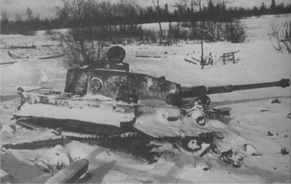 Тигр в снегу