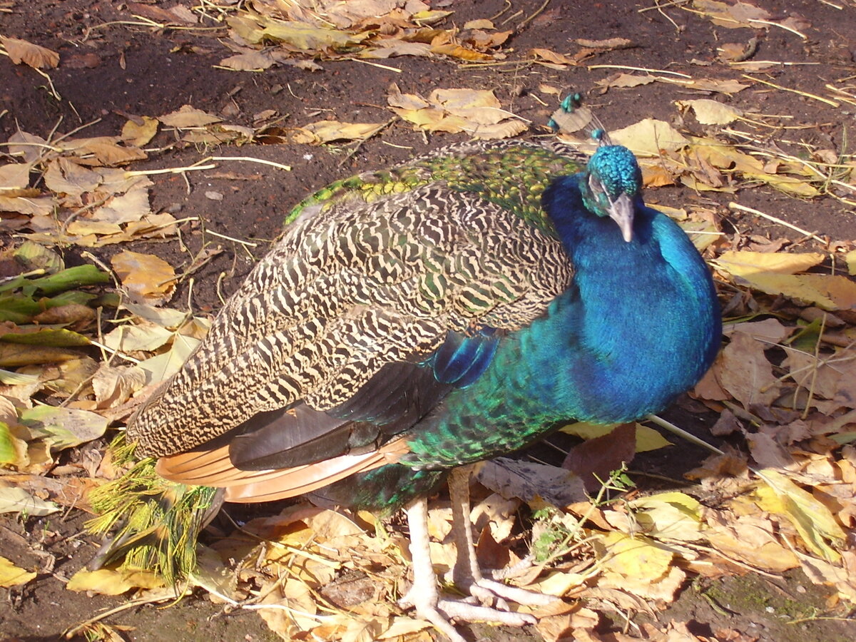 Фото из личного архива автора