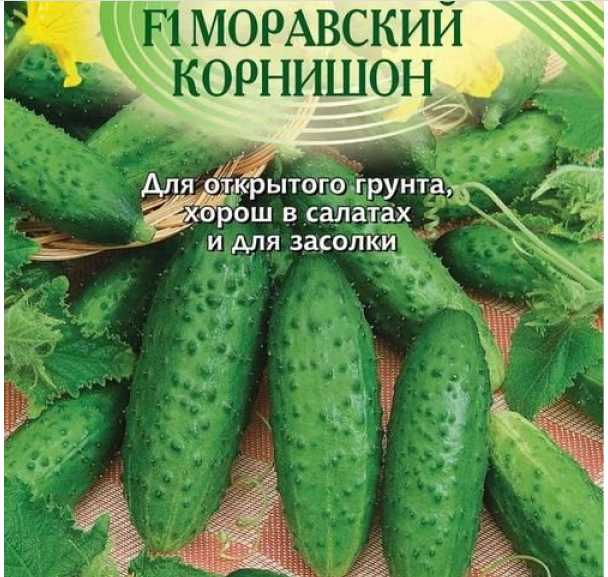 Огурец спринтер описание. Огурец Моравский корнишон. Огурец f1 мишка на севере. Моравский корнишон огурец описание. Огурец монолит.