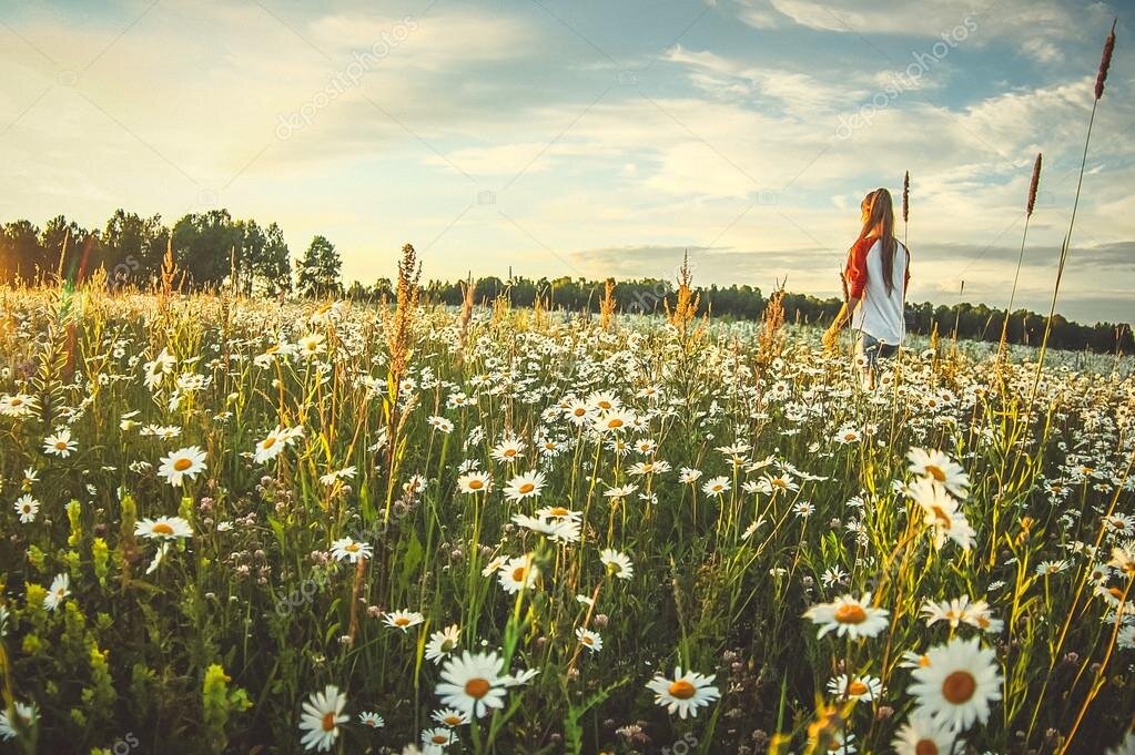 Консультирую по Жизненной программе