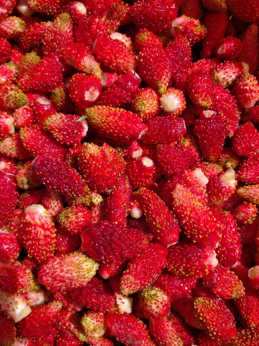 Нет, пожалуй, слаще. И крупнее. Что, несомненно, плюс.