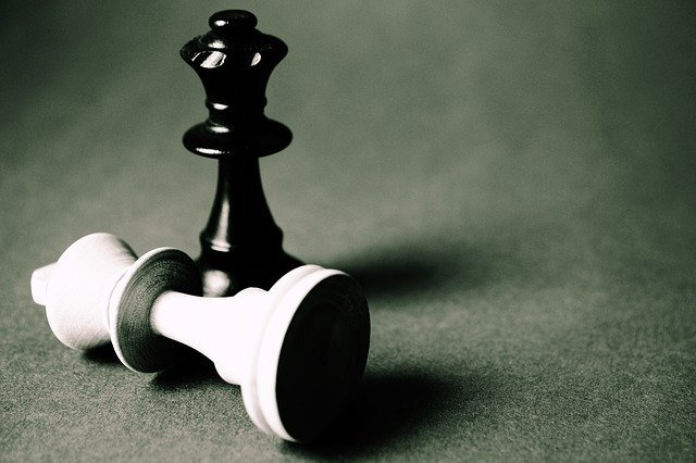Источник: https://pixabay.com/