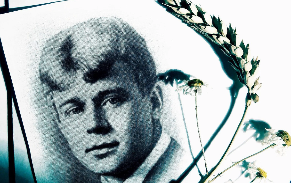 фото взято с яндекс.картинки