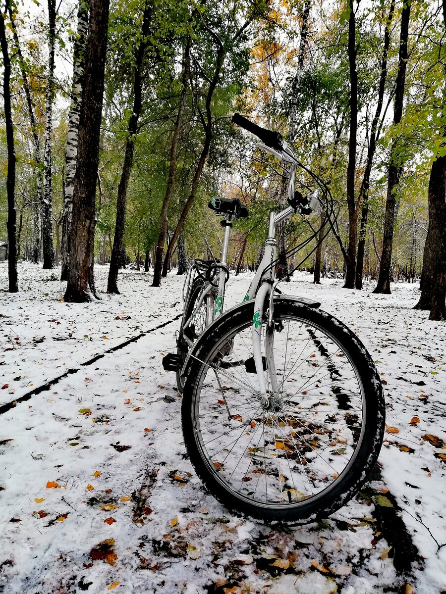 Велосипед Forward. Осень.