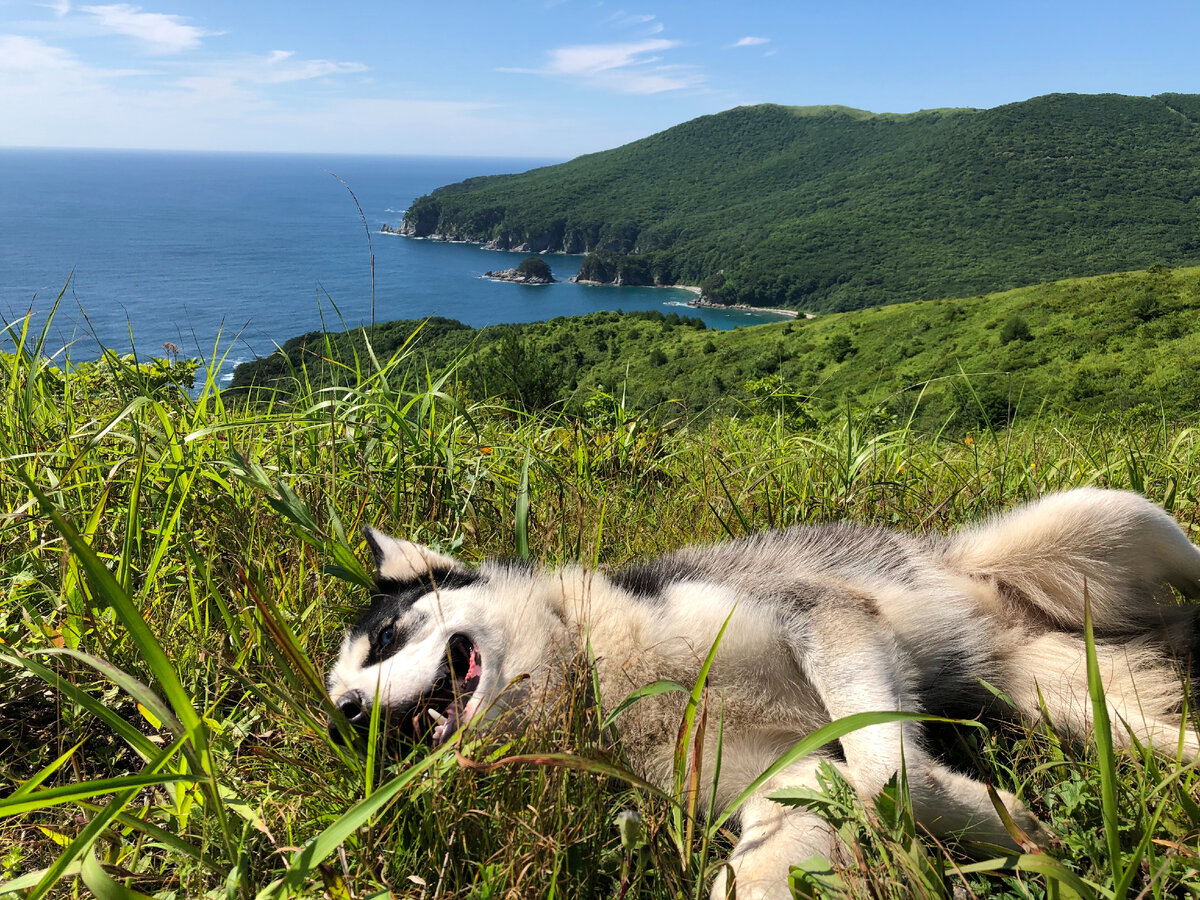 I'm used to spending time on the seaside. Я привыкла проводить время на побережье.