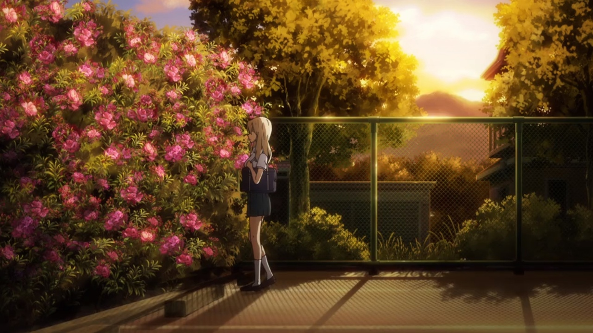 закат, цветочки, девушка-замечательный кадр