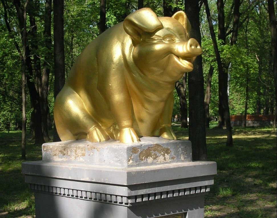 Фото из Яндекс.Картинки/Александр Амельченков