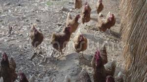 Фото взято с интернета.