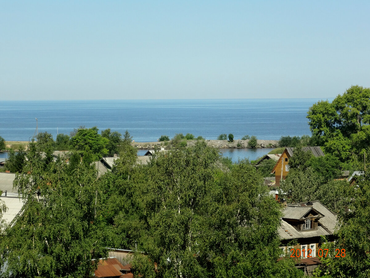 Вологодская область — обширный и живописный край старинных городов, озер,  рек и лесов | Посмотреть Россию из окна авто | Дзен