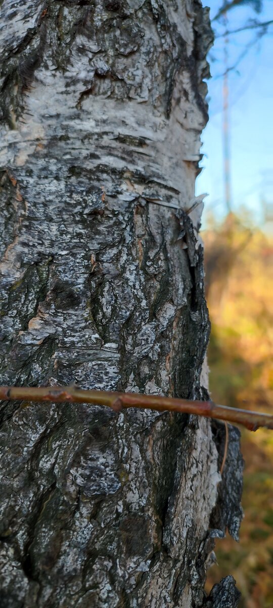 Личное фото. 