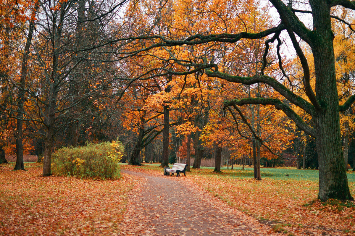 Особенно живописно здесь в октябре!
