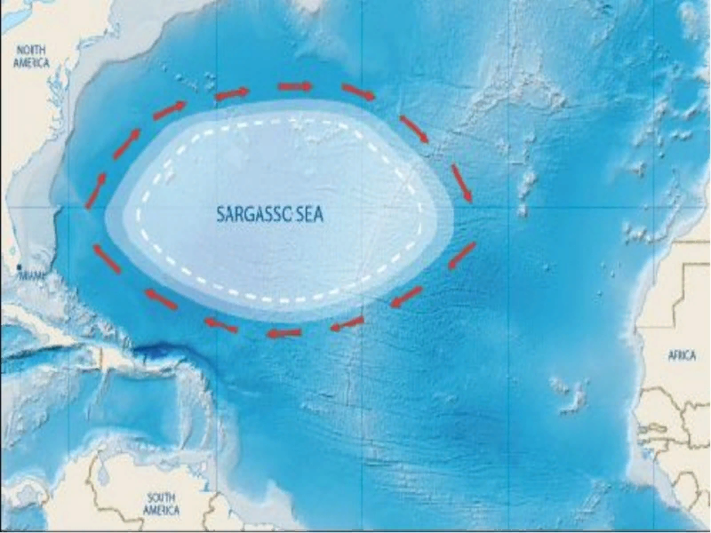 Саргассово море на карте океанов