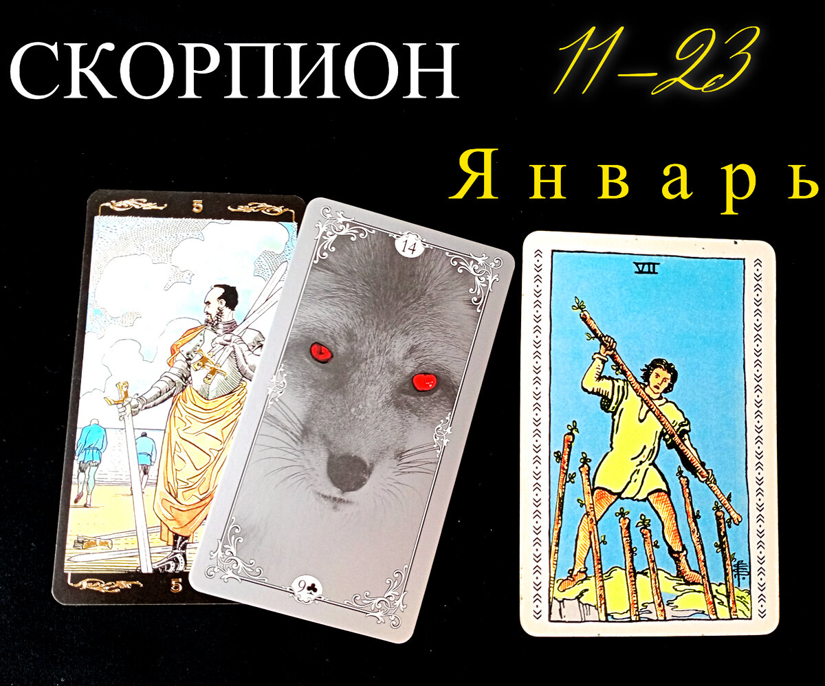 5 мечей/Лиса/7Посохов