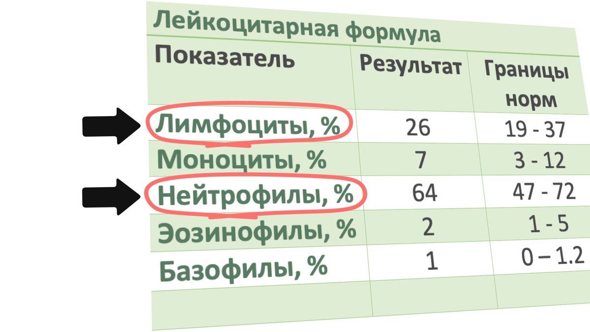 КРОВЬ ВИРУСНАЯ ИЛИ БАКТЕРИАЛЬНАЯ, КАК ПОНЯТЬ | MEDIKOFF | Дзен