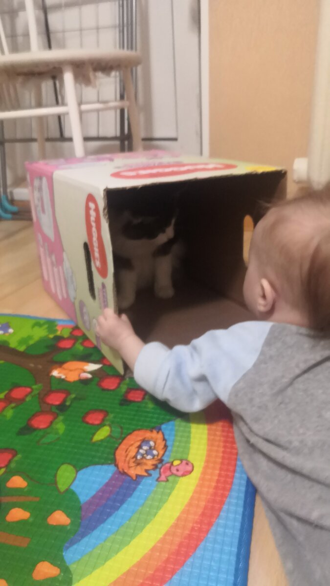 Когда у вас одна коробка на двоих.