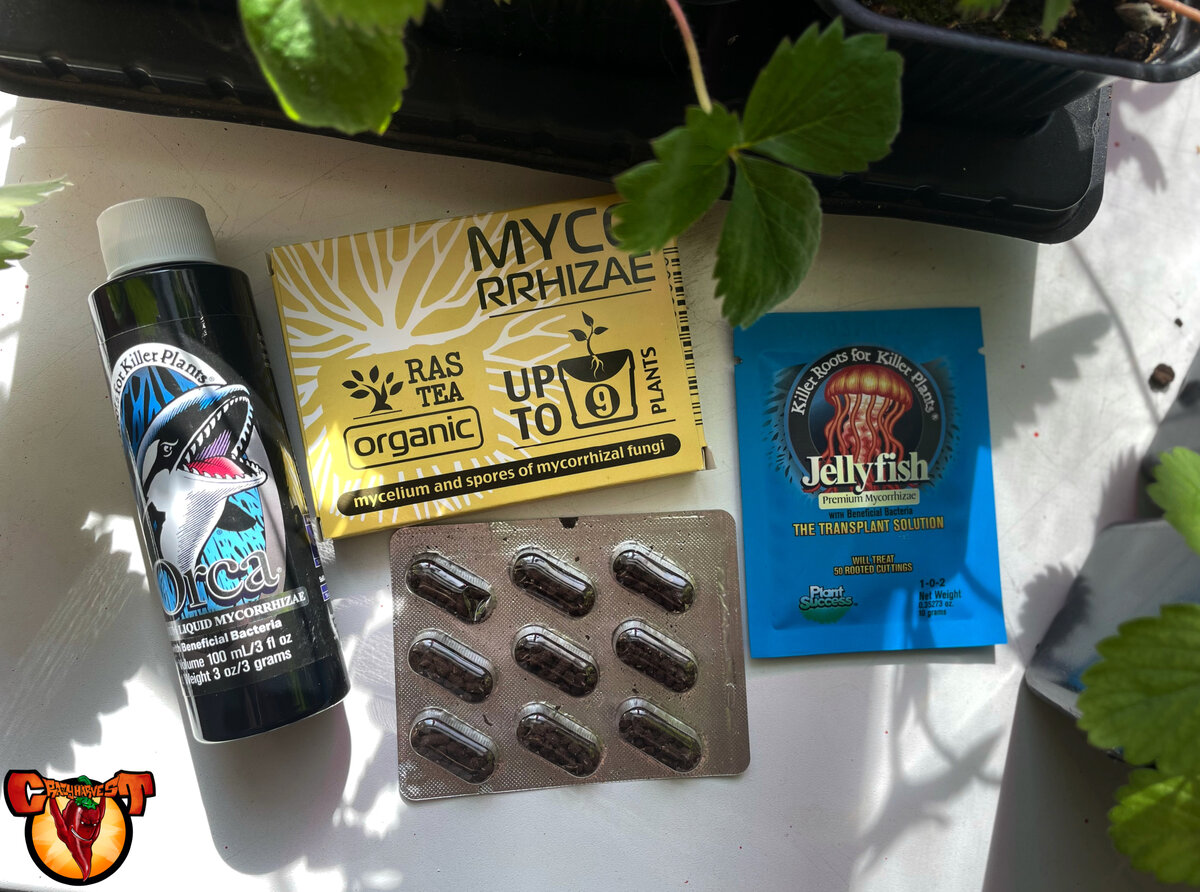 Жидкая и сухая Микориза