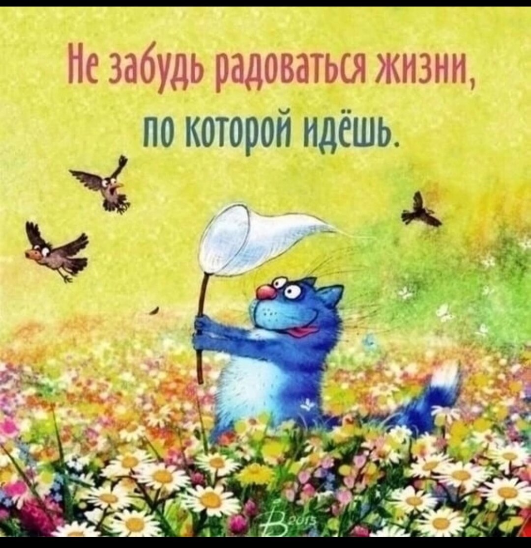 Картинка из интернета 