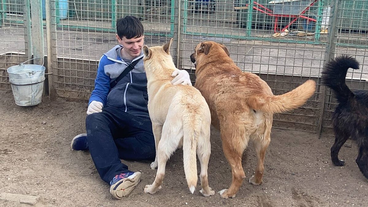 Саша, Белоснежка и булочка