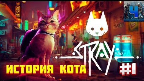 Stray/Обзор/Полное прохождение #1/История кота