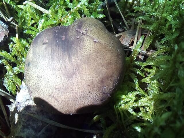 ВИД СВЕРХУ...