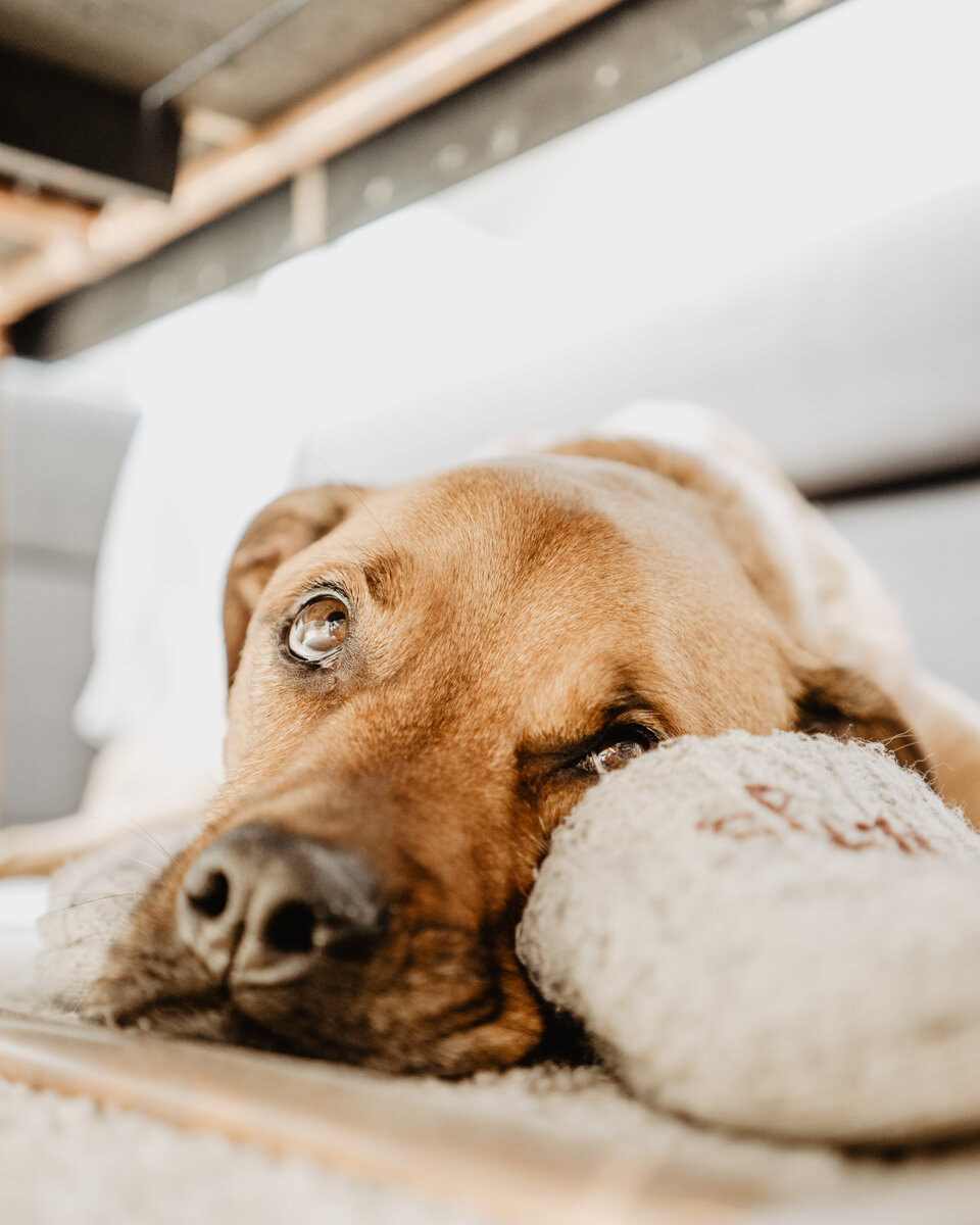 Снимок: Ruby Schmank (unsplash.com)