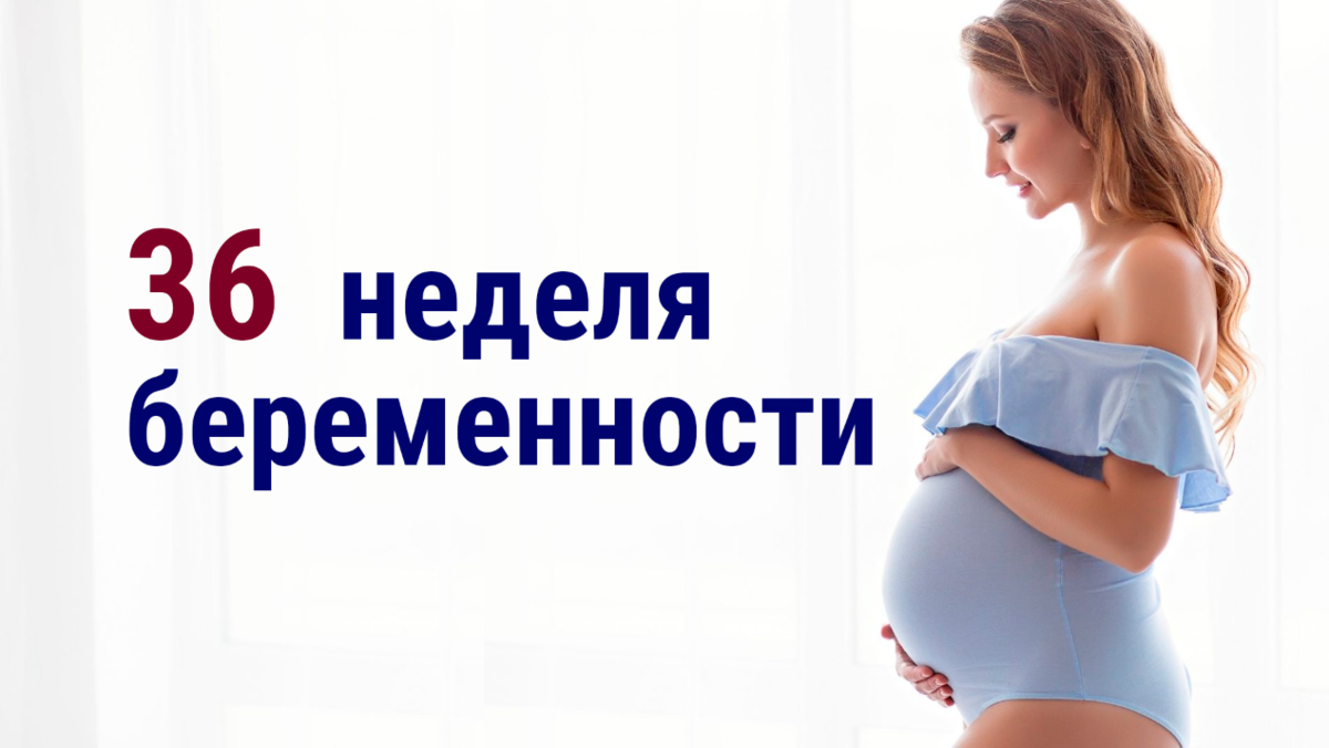 👩‍🦰 36 неделя беременности 🤰🏼 | 👶🏻KROHIPRO👶 - Беременность, питание,  подготовка к родам, воспитание детей - Всё о детях и их родителях🤱🏻 | Дзен