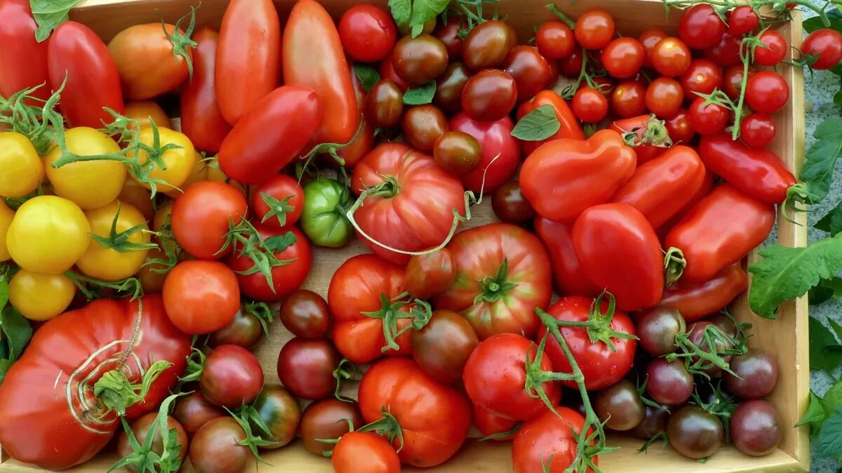 Томаты с чесноком - томаты в снегу. Фото: www.piqsels.com