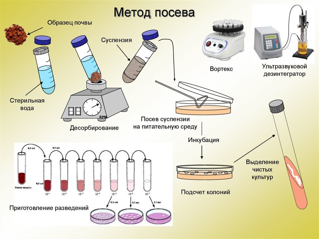 Схема микробиологического контроля производства масла