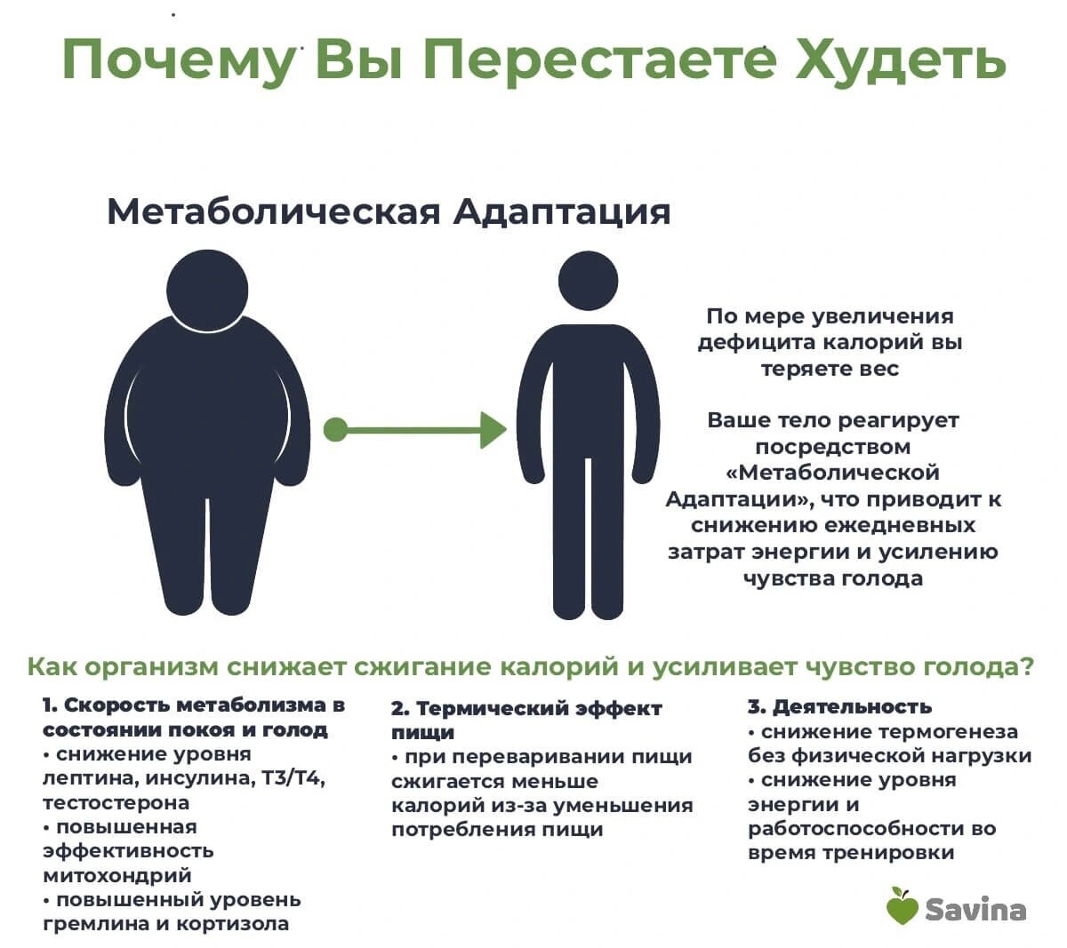 Метаболическое похудение в чем заключается. Метаболическая адаптация при похудении что это такое. Что такое метаболистическое похудение. Метаболическая адаптация картинки. Метаболическая адаптация новорожденных.