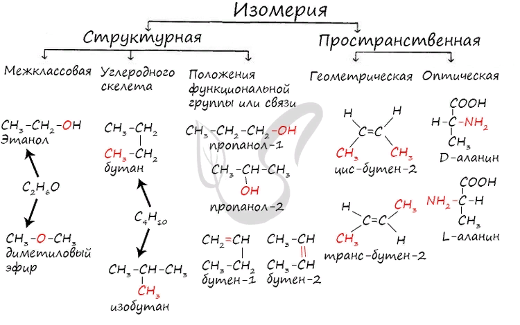 Виды изомерии. Типы структурной изомерии схема. Типы изомерии в органической химии. Изомерия таблица. Изомерия органических соединений схема.