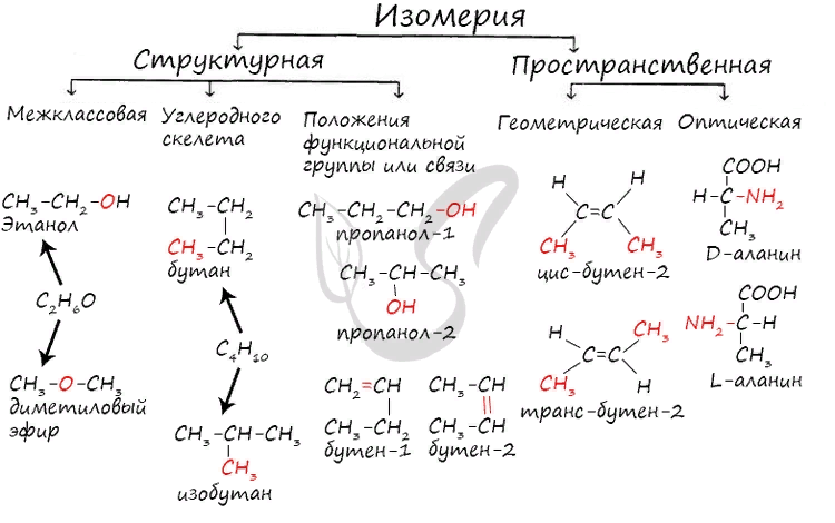 Типы и виды изомерии