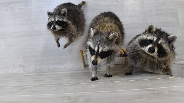 KOMSOMOLSKAYA PRAVDA/GLOBALLOOKPRESS