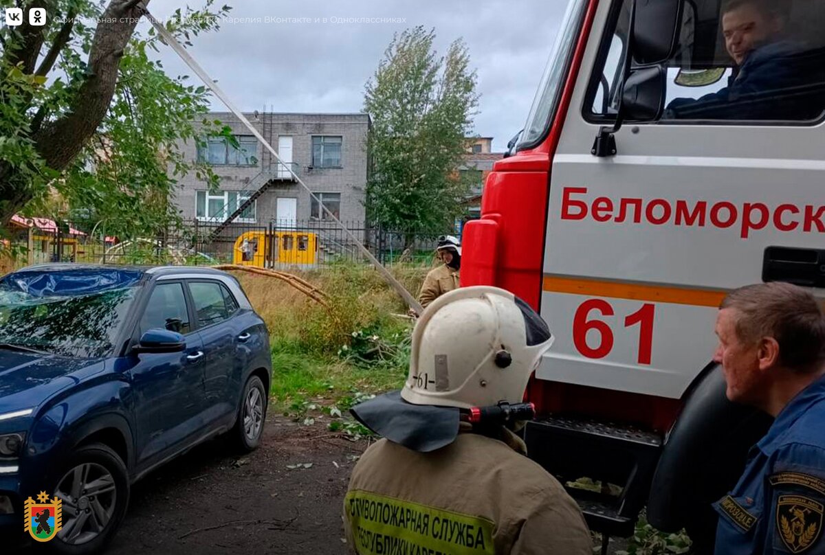 Энергетики Карелии продолжают бороться с последствиями разрушительной  стихии | Столица на Онего - новости Петрозаводска и Карелии | Дзен