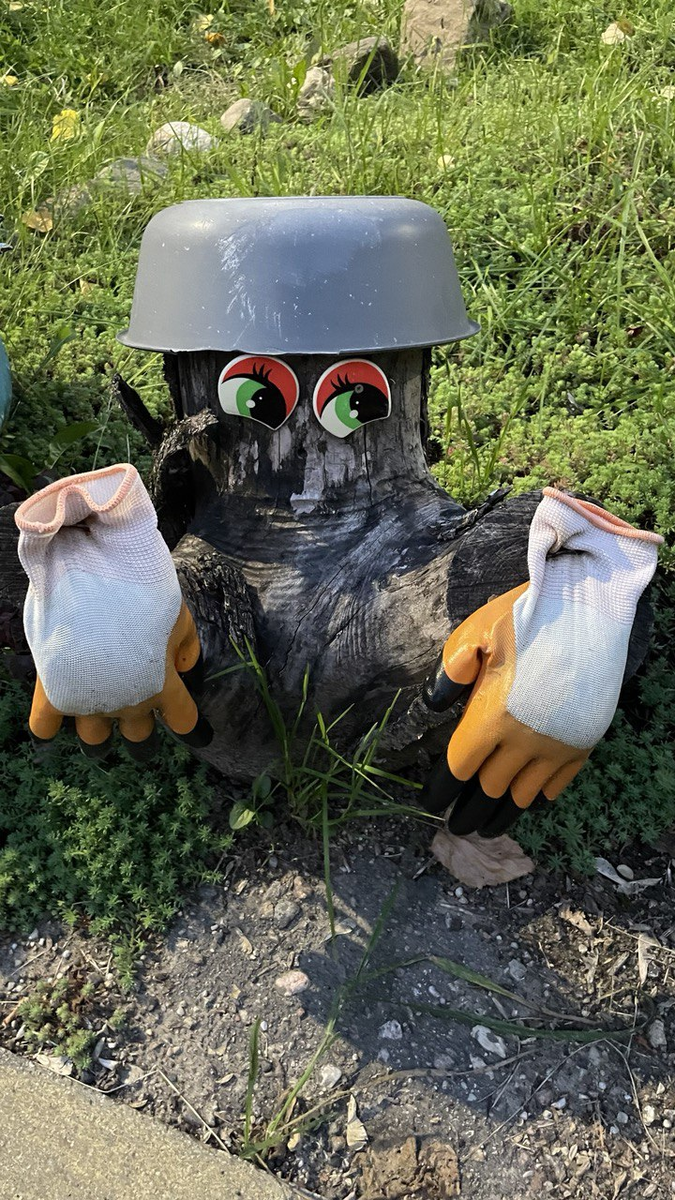 пенёк + тазик + перчатки = красота