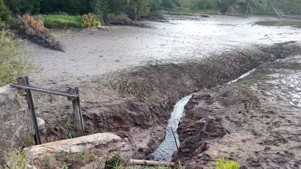     Бывшего главу Ижевска Олега Бекмеметьева взяли под стражу. Новый и. о. министра здравоохранения республики планирует начать ремонт крупных городских больниц. В Завьяловском районе решили ликвидировать плотину обмелевшего пруда. Udm-info подводит информационные итоги пятницы, 22 сентября.