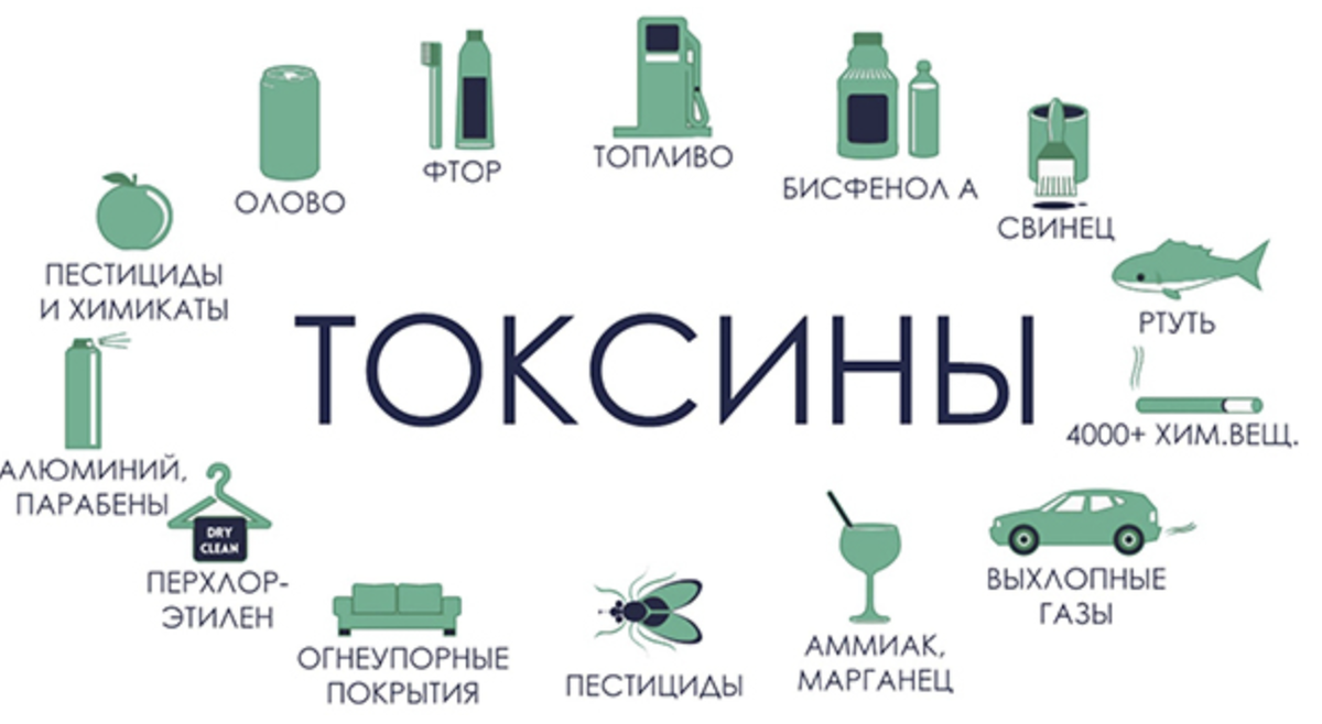 Токсины вред. Токсины. Токсины в организме. Виды токсинов. Внешние токсины.