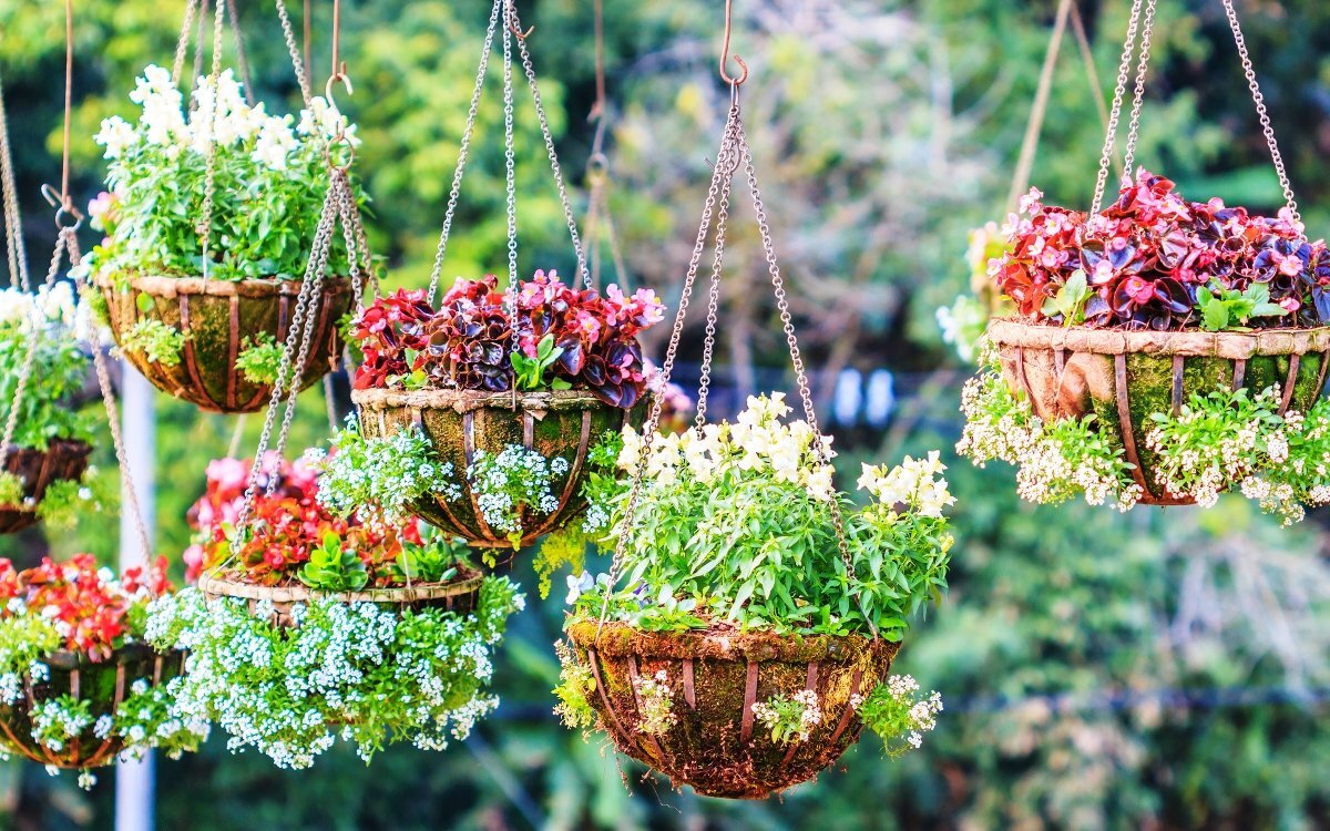 Виды кашпо: 20 красивых идей для дома и сада