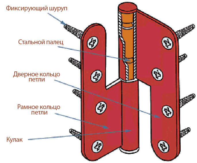 Врезка петель в межкомнатные двери