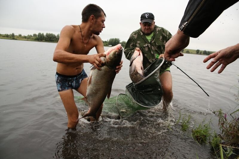 Рыбалка 44 форум кострома водоемы сегодня. Костромская рыбалка. Рыбалка в Костроме. Рыбалка Кострома Белгородская. Река Кострома рыбалка.