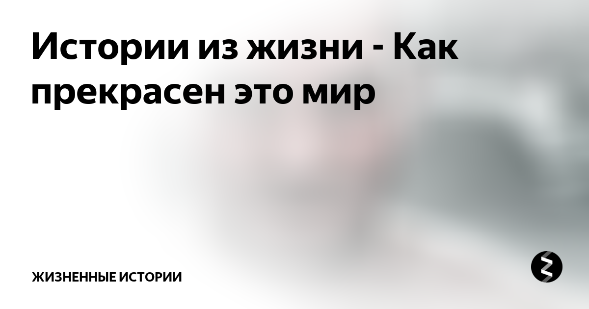 Истории из жизни - Как прекрасен это мир | Жизненные истории | Дзен