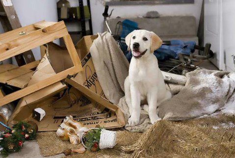 Источник: chihua.info