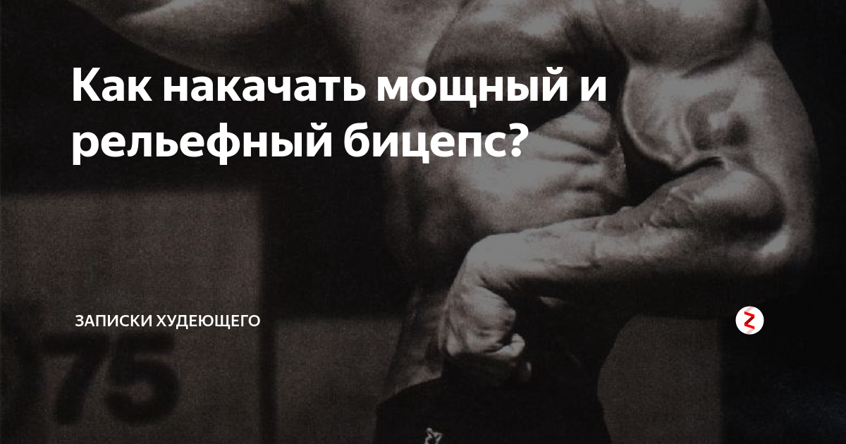 Aburaihan Iran � ������ �����: ����.